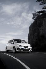 Seat Ibiza FR 2009 года